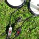 Paire de lampes