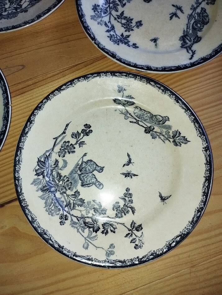 Flat Plates “Terre de Fer – The Chicks” (5 pieces)