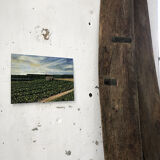 Oil painting "vines"