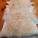 New sheepskin