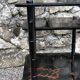 Antique chinese napoleon iii black lacquered shelf