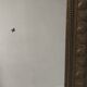 Large antique mirror Napoleon III style Louis XVI gilded stucco wood 19th century 120x85
