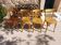 4 Baumann bistro chairs, different shades, vintage
