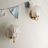 Shell sconces