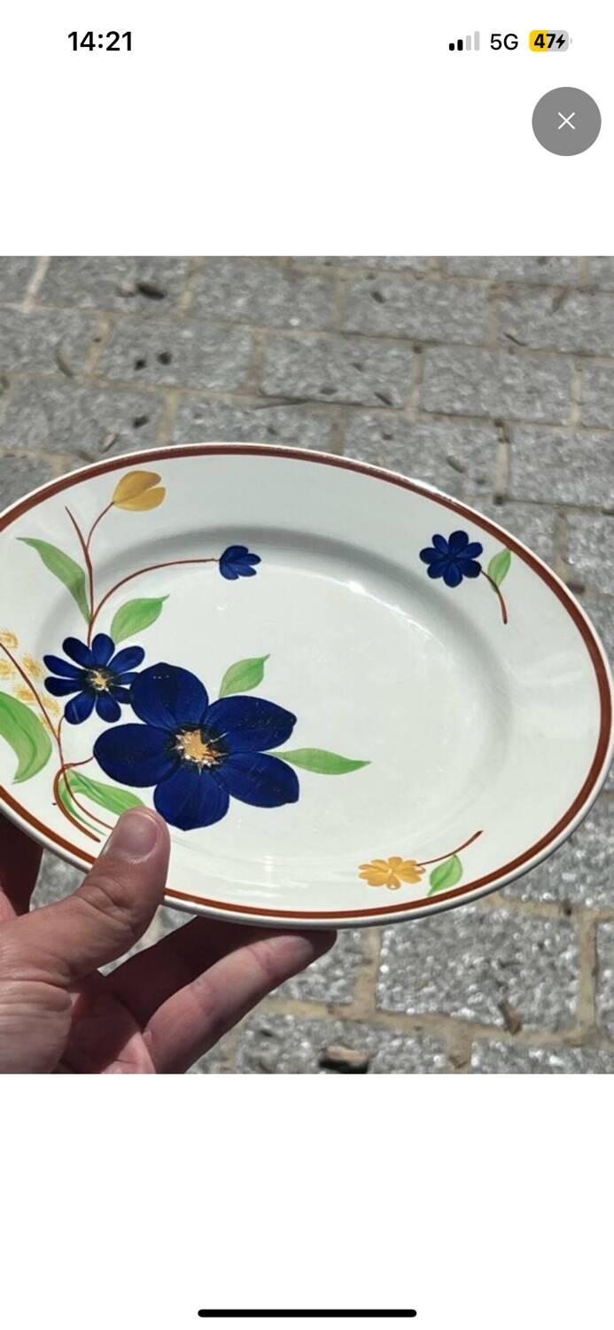 Gien - 6 flat plates - tournefeuille