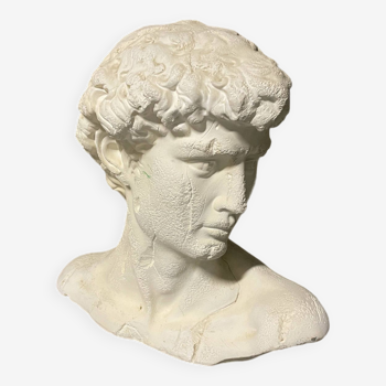 Bust of David