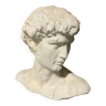 Bust of David
