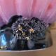 Shell lamp Vallauris 60's