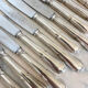 Series of 12 old knives, silver metal
