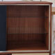 Mid-century display cabinet