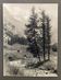 Bernard Darot silver gelatin photograph, 20th century, fir trees in the mountains