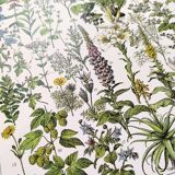 Poster on medicinal plants "absinthe", after a lithograph from 1928