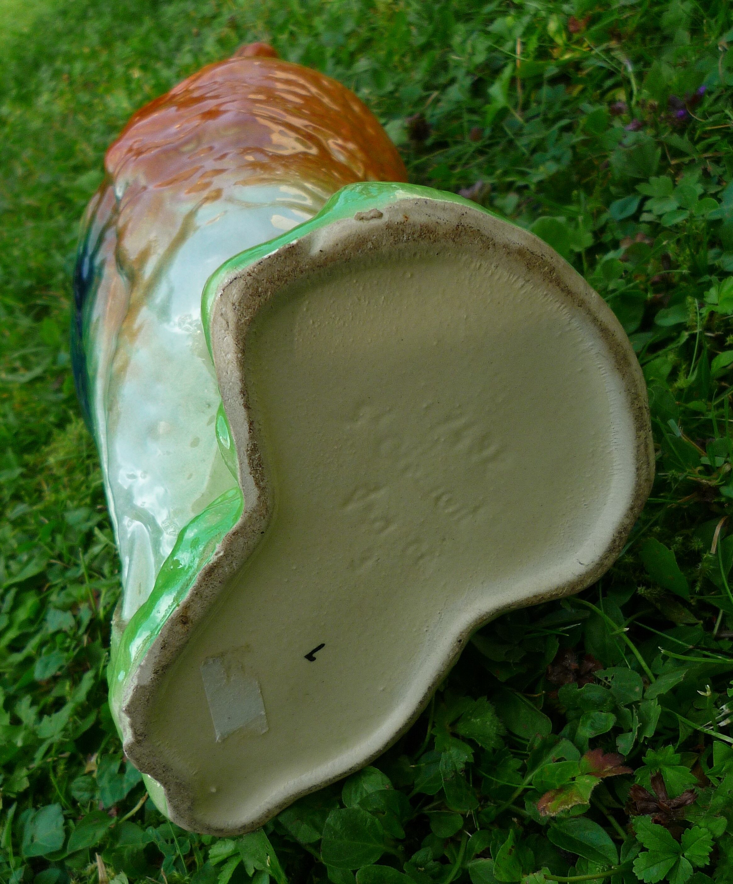 Pitcher duck slurry Saint-Clément