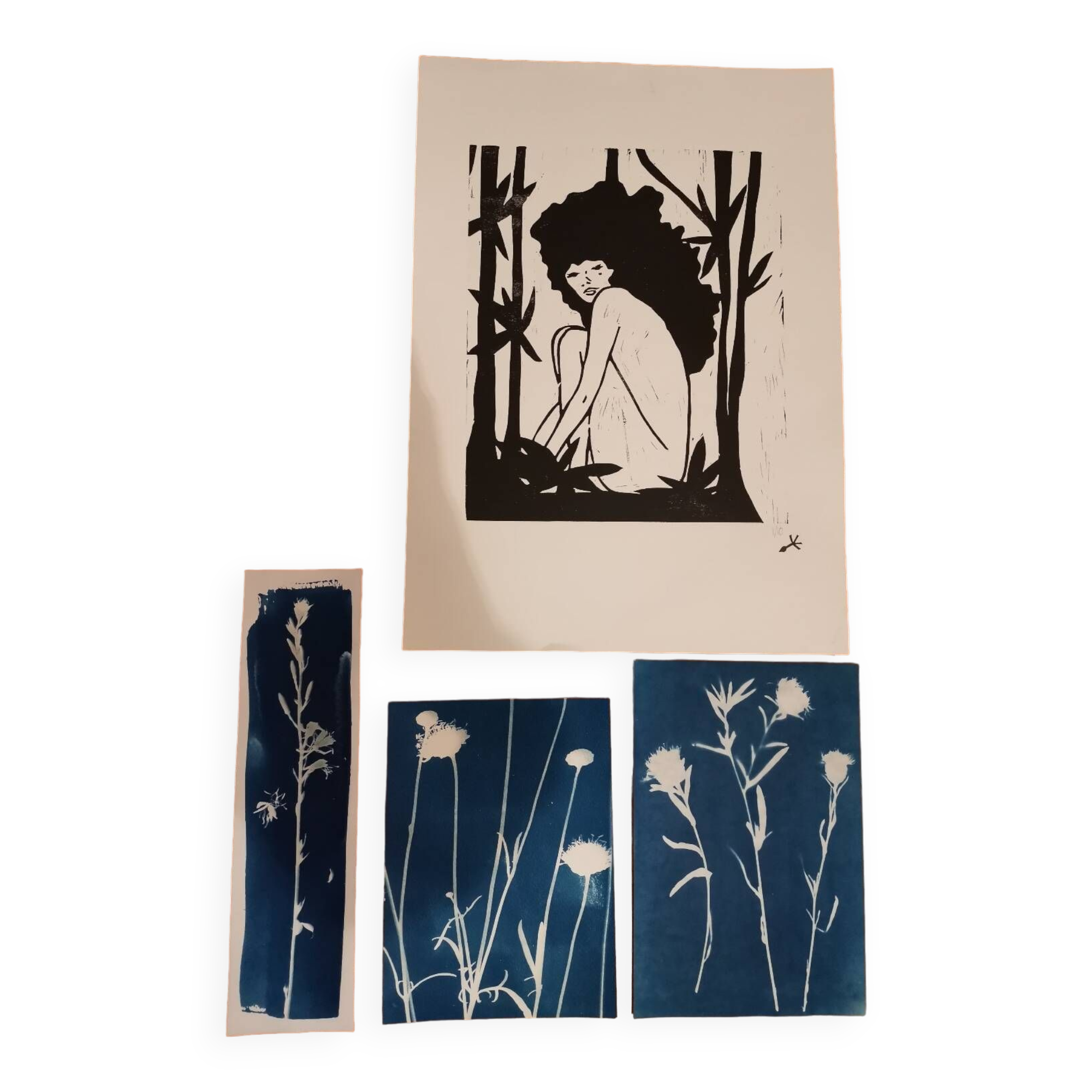 Cyanotype and wood engraving lot