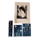 Lot de 3 cyanotypes et gravure sur bois