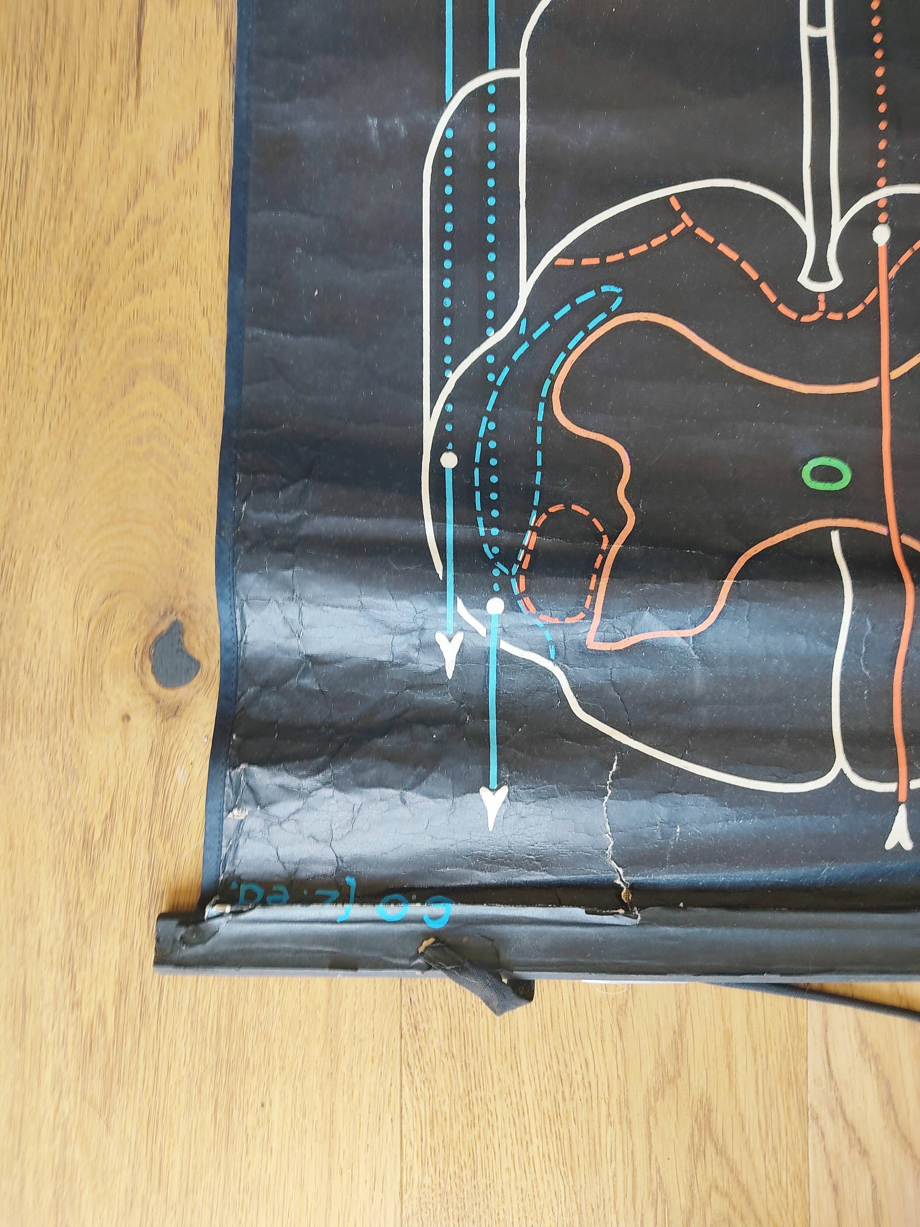 Educational poster La Moëlle épinière Auzoux P. Sougy