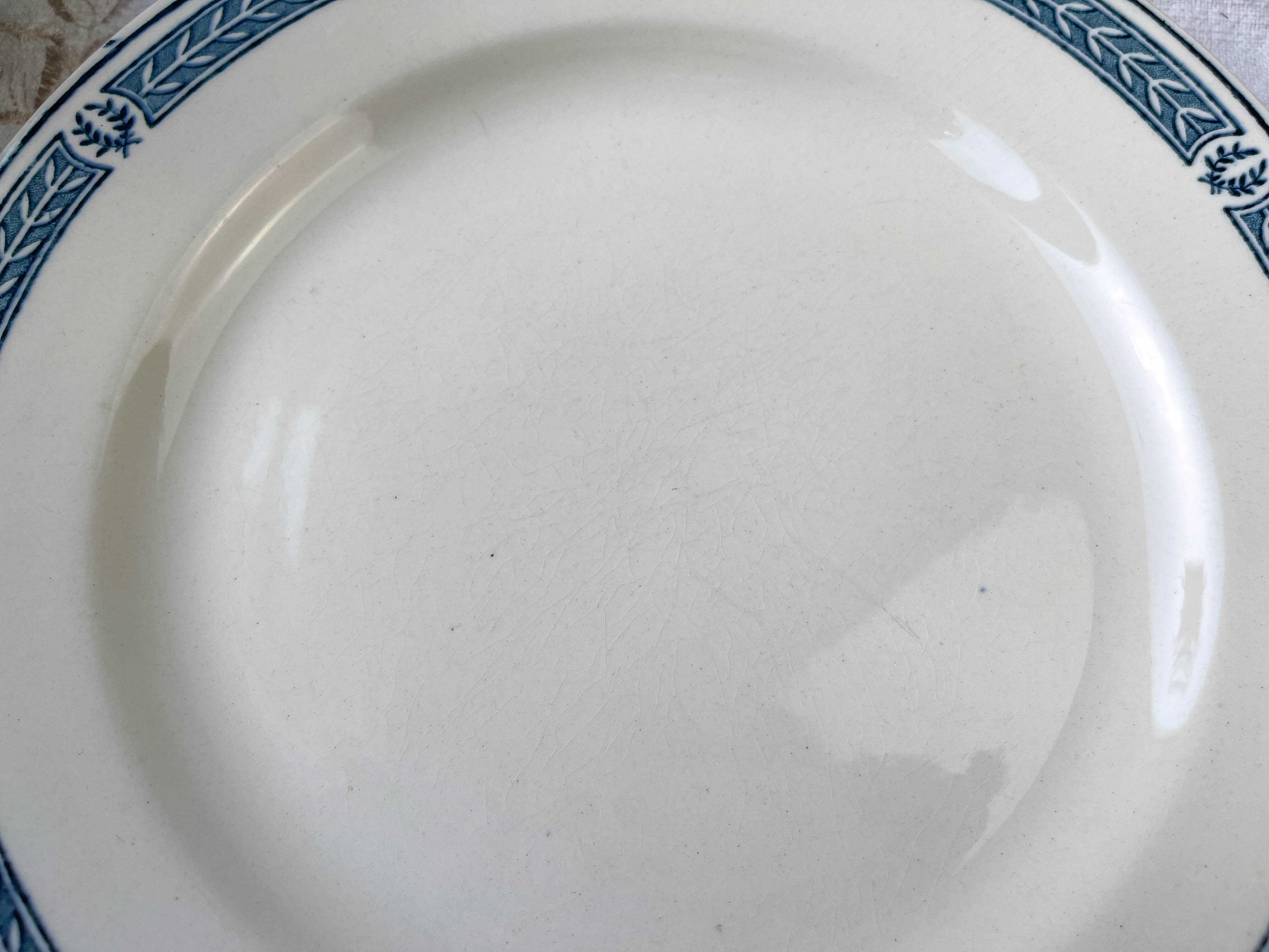 9 vintage flat plates iron earth salins model "castellane"