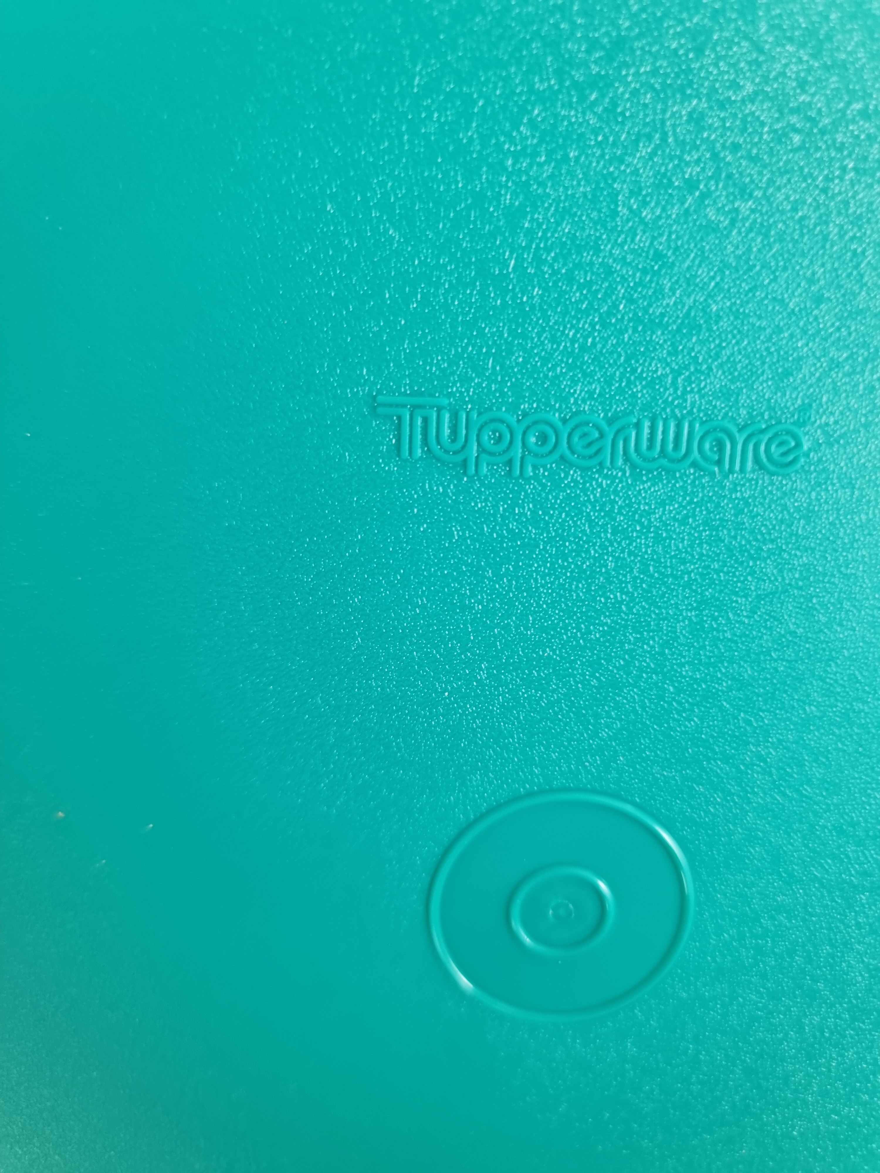 Vintage Tupperware meal tray