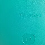 Vintage Tupperware meal tray