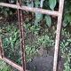 Industrial arched metal window L128xH114 19th century glass roof 2 leaves