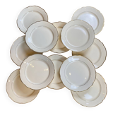 Set of 12 opaque porcelain plates Digoin and Sarreguemines