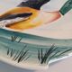 Duck catchall