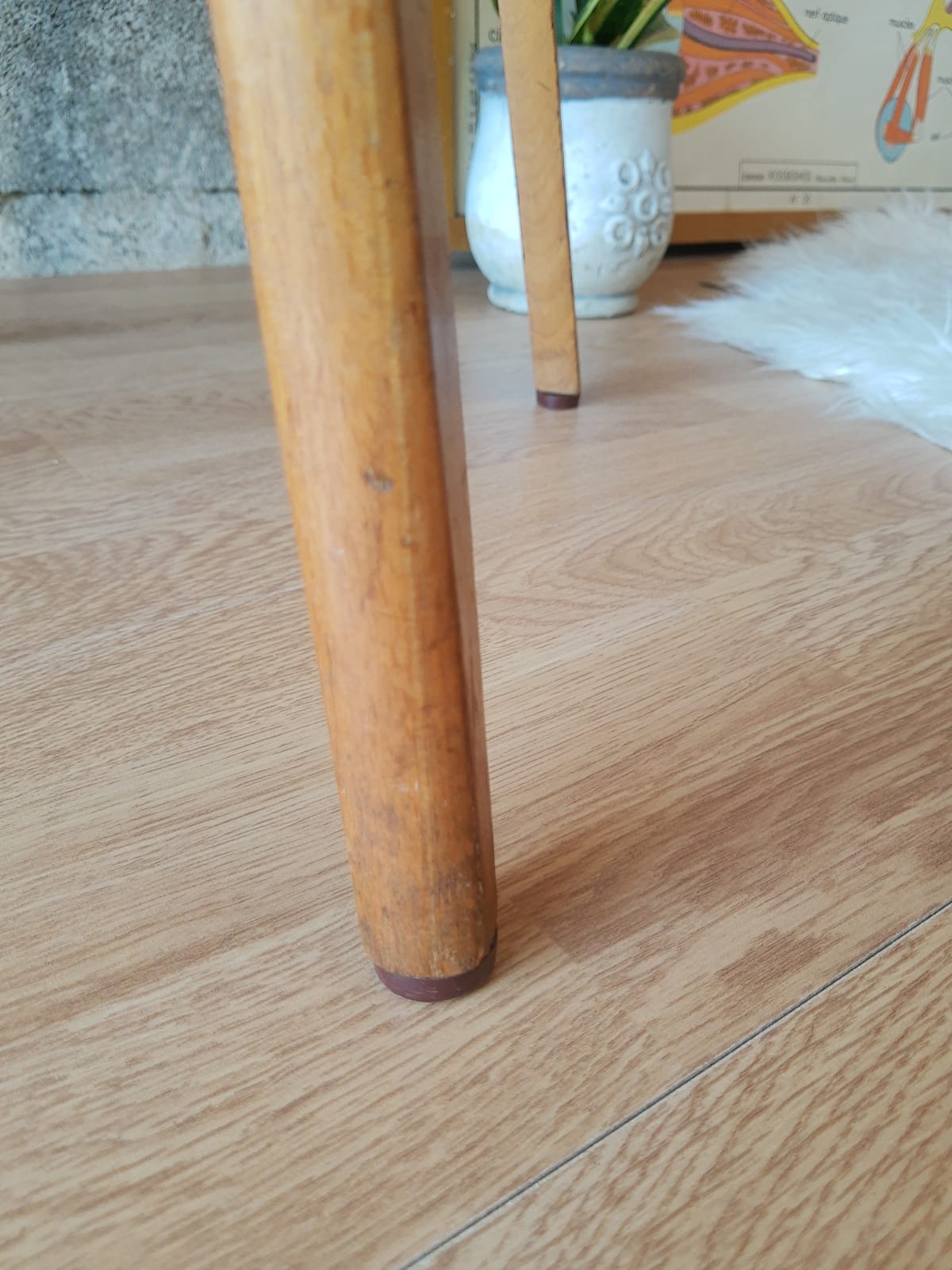 Beech chair compass feet 50s- 60s vinyl - vintage