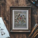 Lithographies originales sur les oiseaux de paradis et de basse-cour