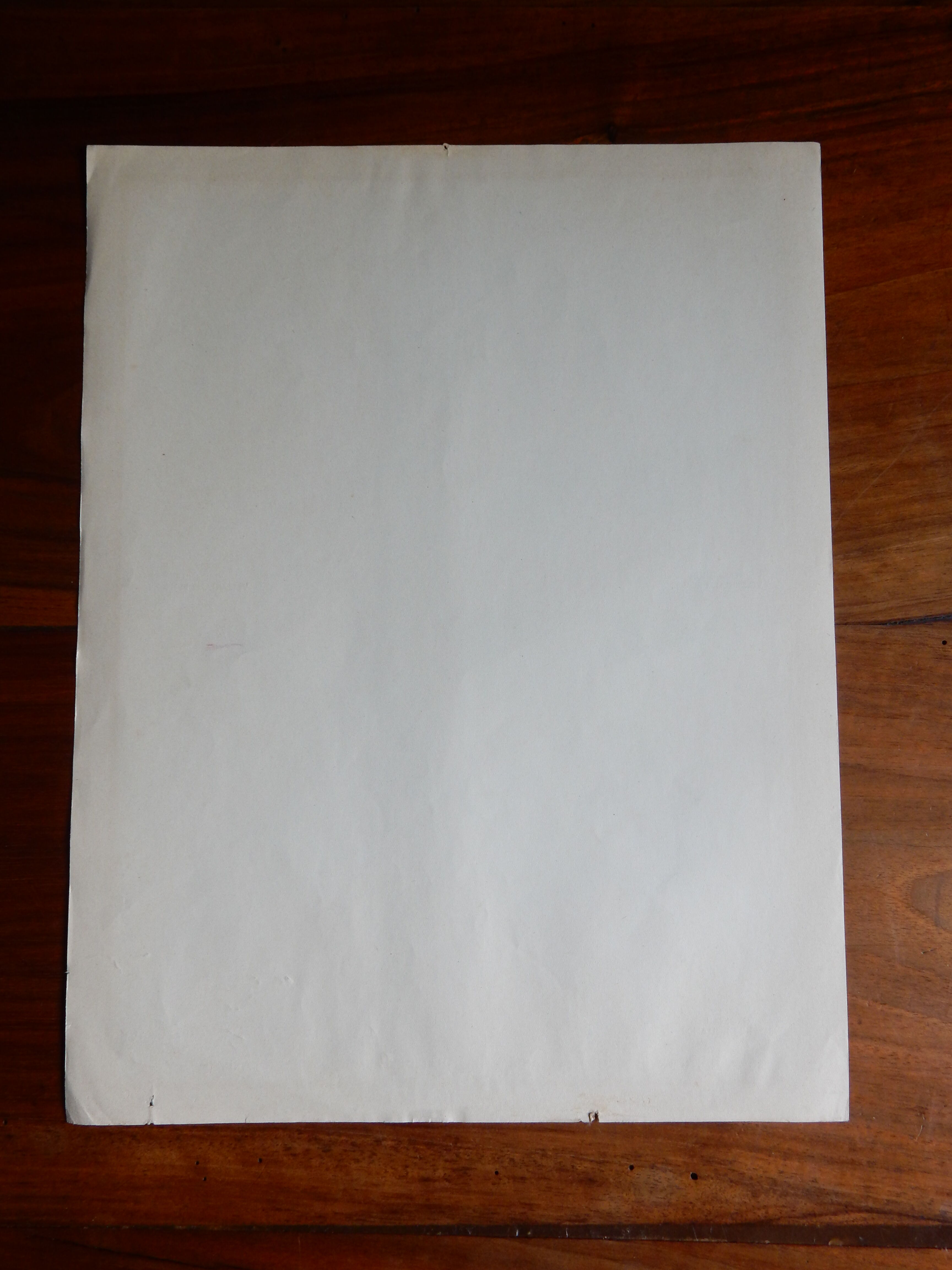 Botanical poster on groselles 1947