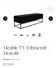 Ethnicraft black TV unit