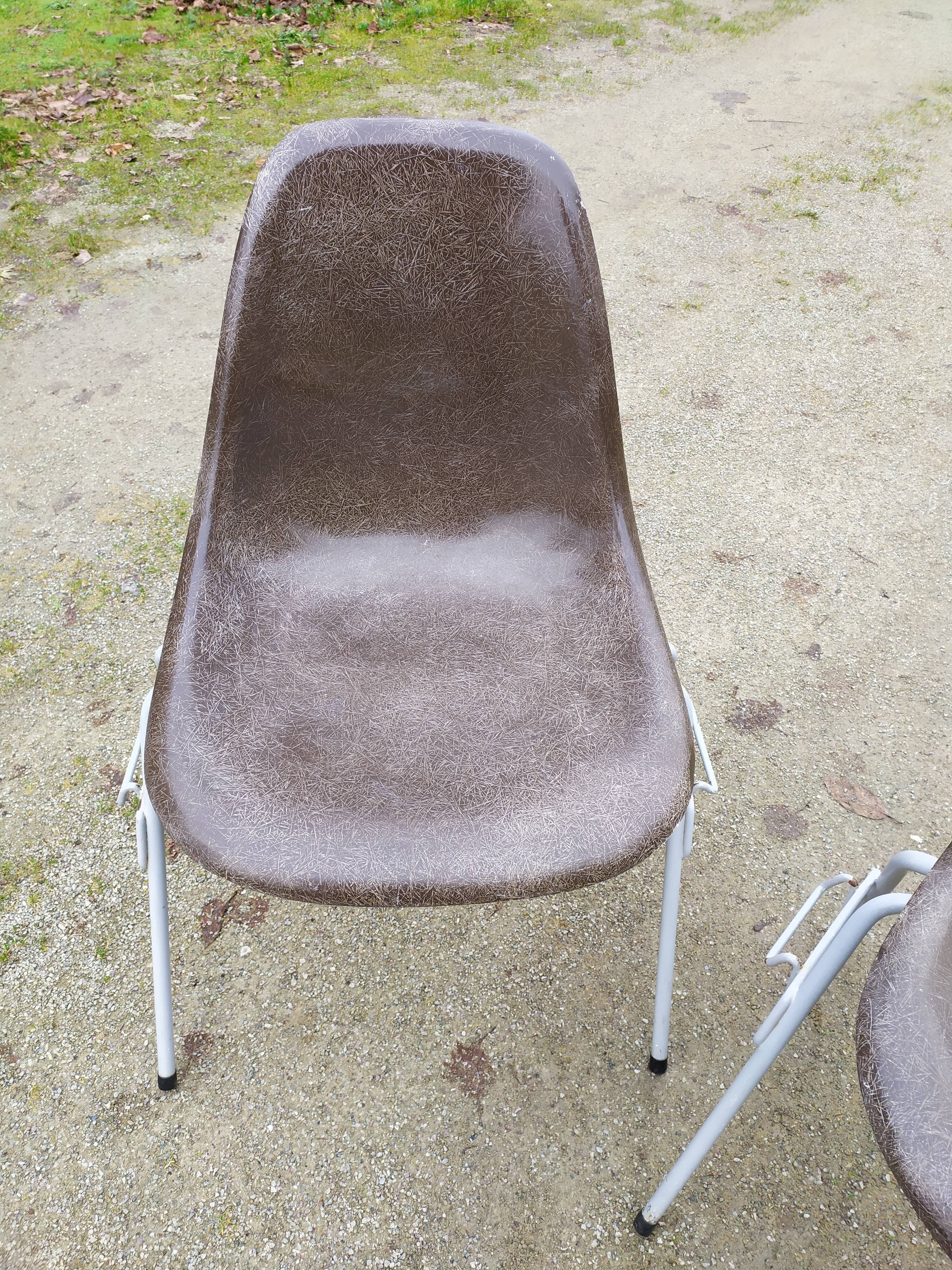 Charles and Ray Eames DSS chairs, Herman Miller, 50s-60s