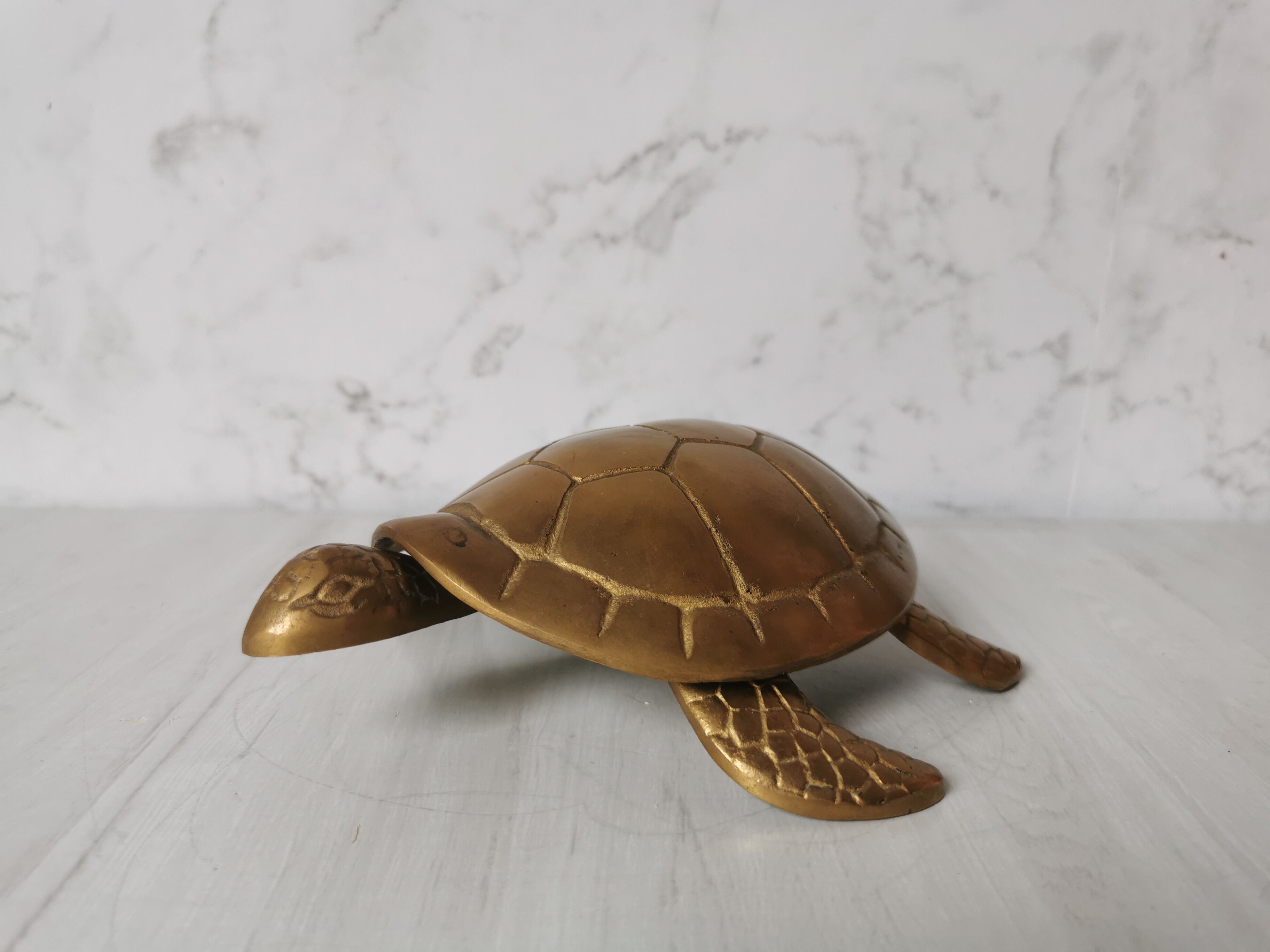 Brass turtle jewelry box