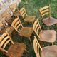 Series of 20 Scandinavian chairs or vintage wooden bistro