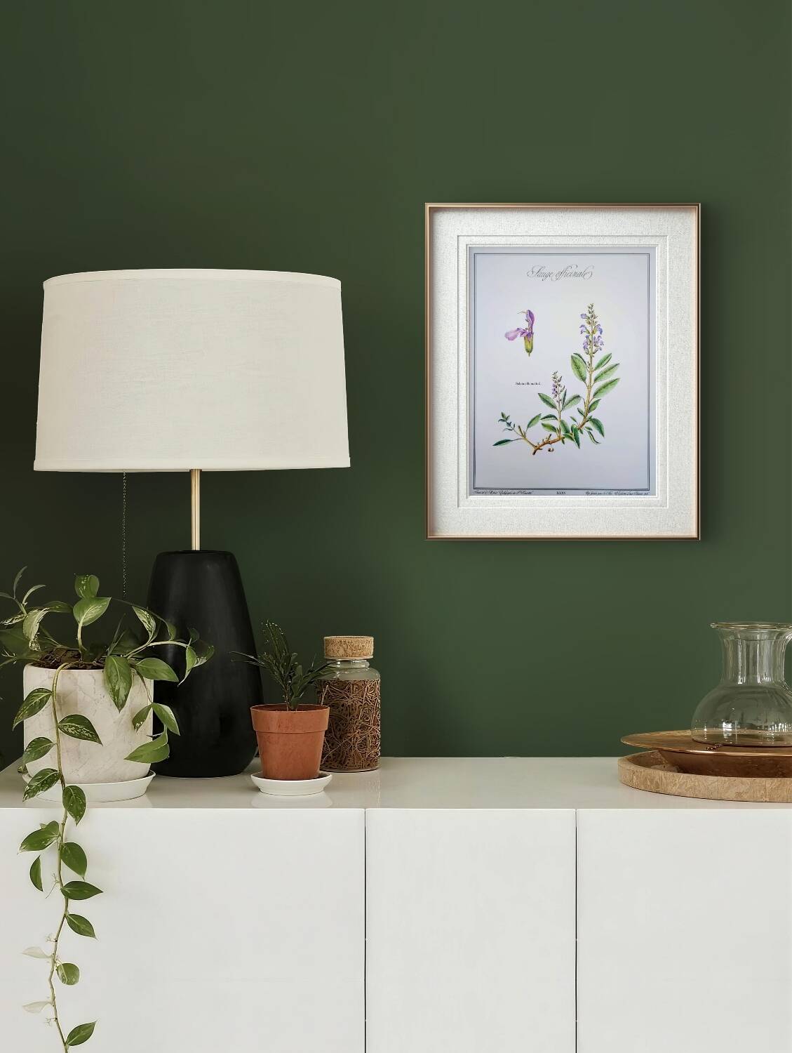 Printed in 1986, the Sage. Vintage Botany.