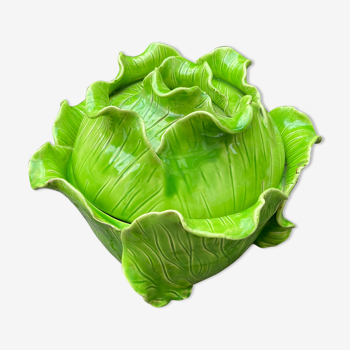 Green cabbage Jean Roger