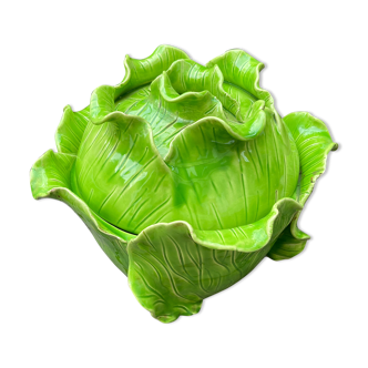 Green cabbage Jean Roger