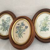 Illustration frames
