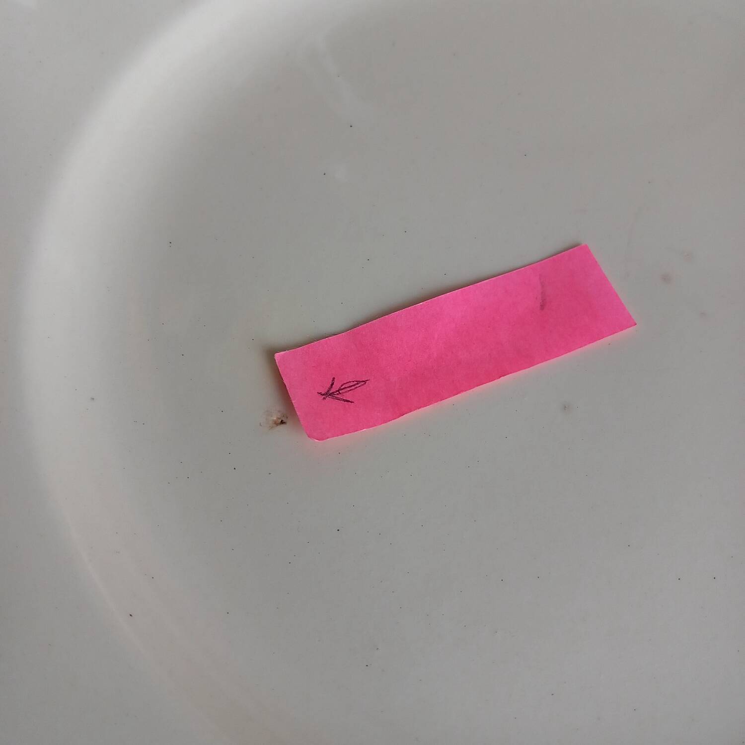 8 antique Sarreguemines ivory plates