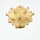 Suspension Taraxacum by Achille & Pier Giacomo Castiglioni for Flos, 1960