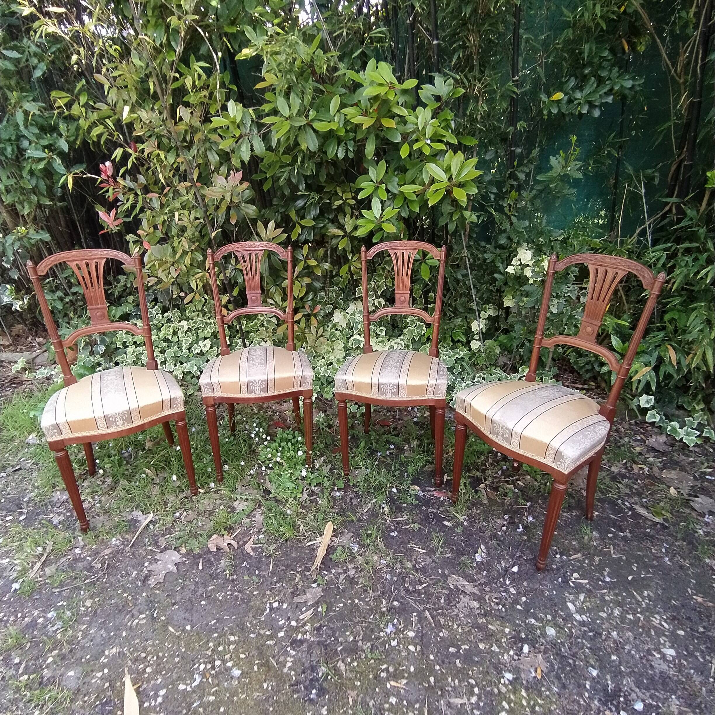 4 old chairs from the early 20th century in mahogany