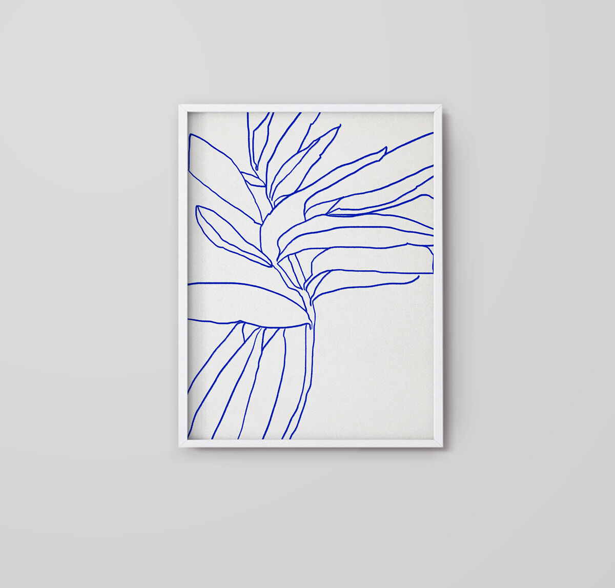 Illustration botanique, A3