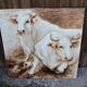 Oil painting on wooden panel representing oxen
