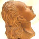Terracotta bust