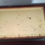 Old metal box crackers