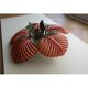 Ceiling lamp palm 70s