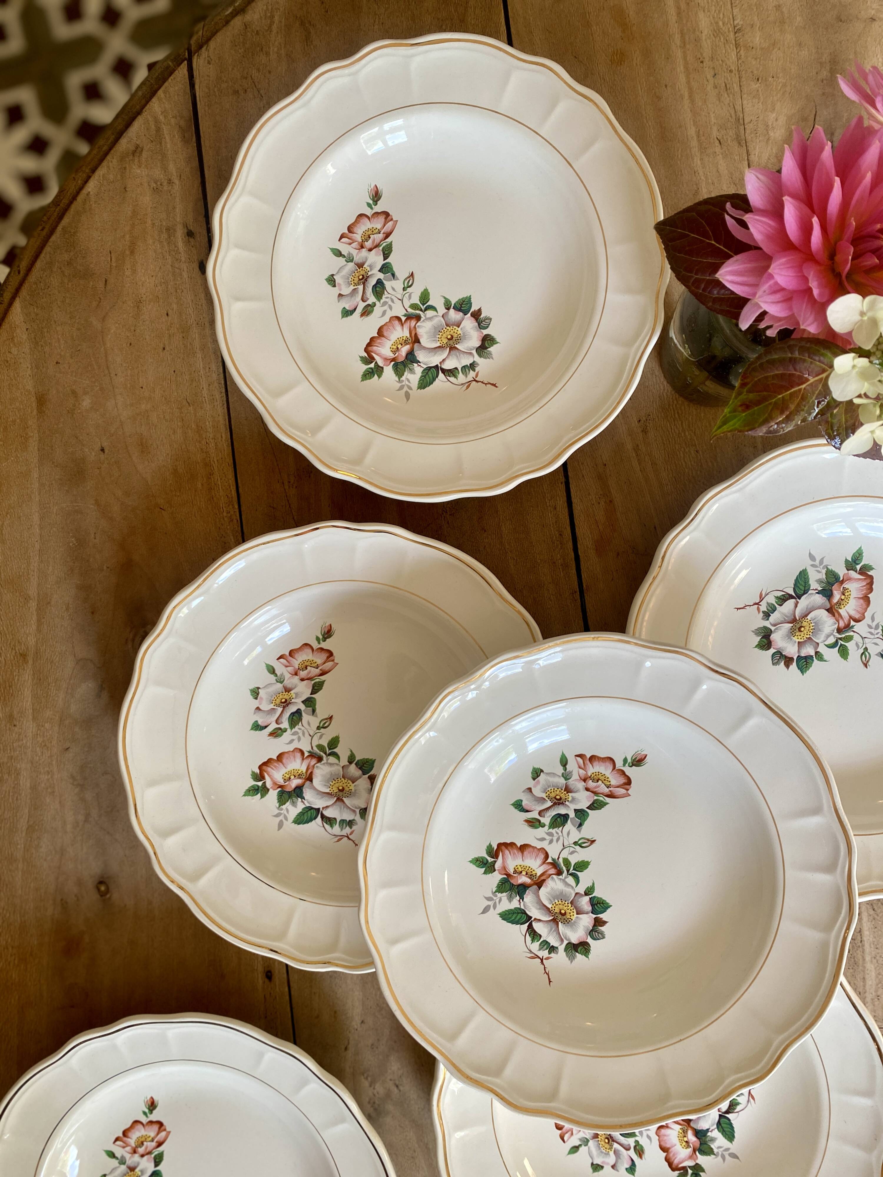 Set of 6 vintage Salins soup plates