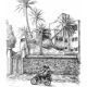 Illustration Marocaine