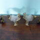 Wall lamps, opaque corolla and iridescent ochre lampshade, brass and wood support