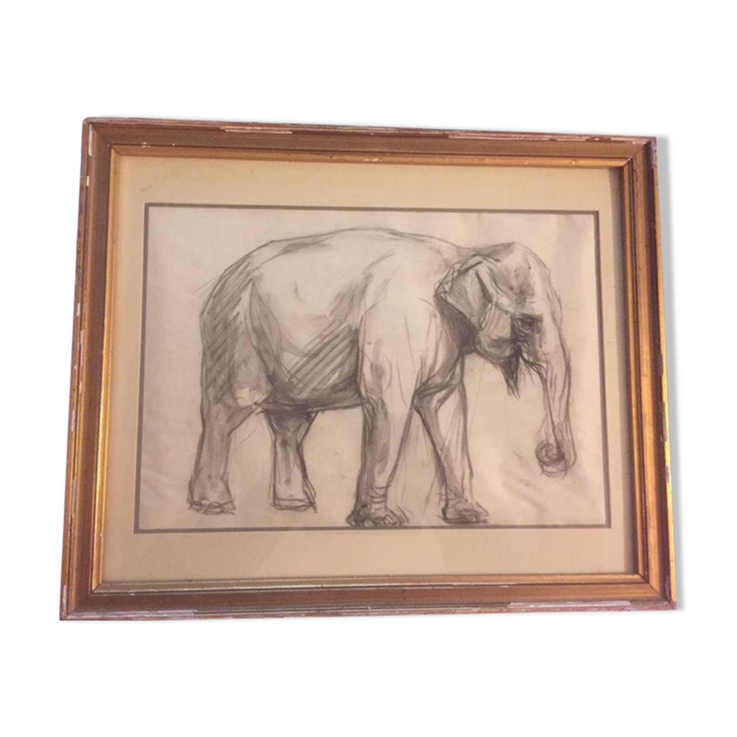 Framed drawing of elephant by René Hérisson