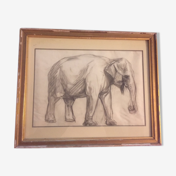 Framed drawing of elephant by René Hérisson